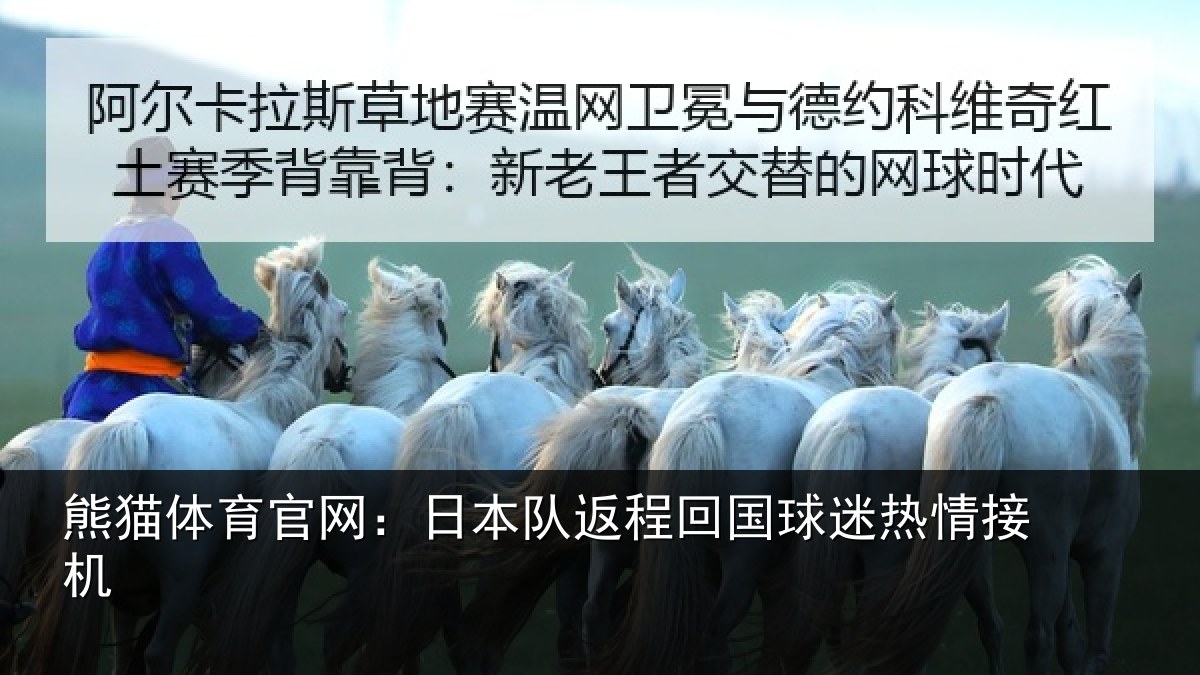 熊猫体育官网:日本队返程回国球迷热情接机