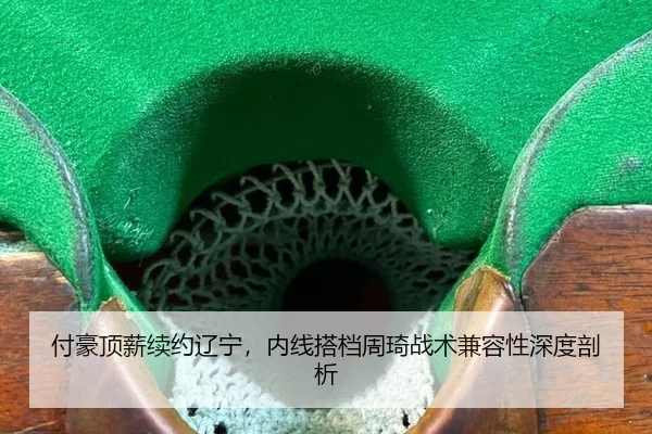 付豪顶薪续约辽宁，内线搭档周琦战术兼容性深度剖析