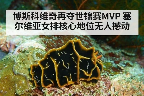 博斯科维奇再夺世锦赛MVP 塞尔维亚女排核心地位无人撼动