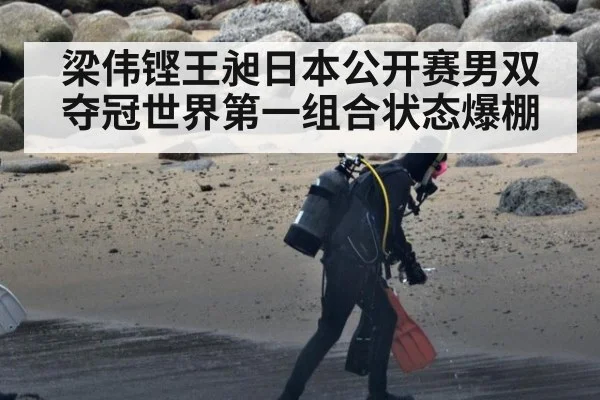 梁伟铿王昶日本公开赛男双夺冠世界第一组合状态爆棚